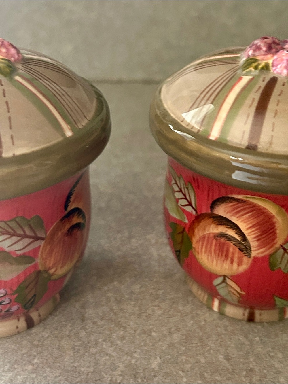 Tracy Porter Pink Peach Hand-Painted Ceramic Salt and Pepper Shakers
